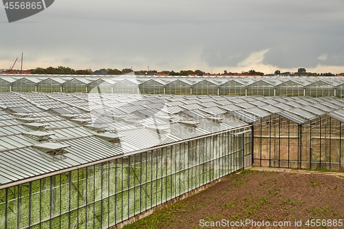 Image of Greenhouse agricultural production