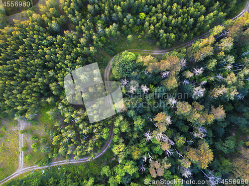 Image of Aerial view from the drone of road through the forest in the summer.