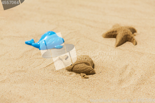 Image of sand shape made by whale mold on summer beach