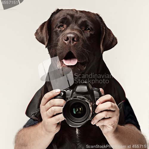 Image of Dog photographer taking pictures. isolated on white background.