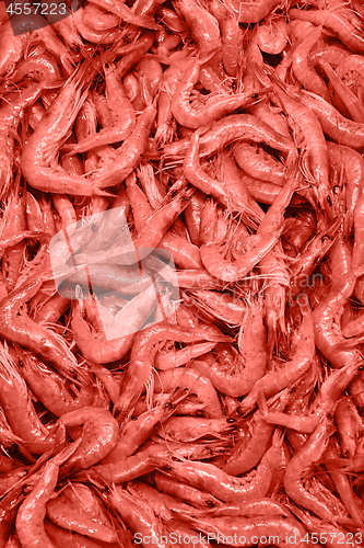 Image of Natural fresh raw shrimp background in a pantone trendy color of the year 2019 Living Coral.