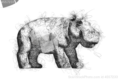 Image of Hippopotamus ballpoint pen doodle