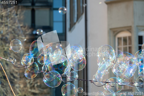 Image of some soap bubbles outdoors