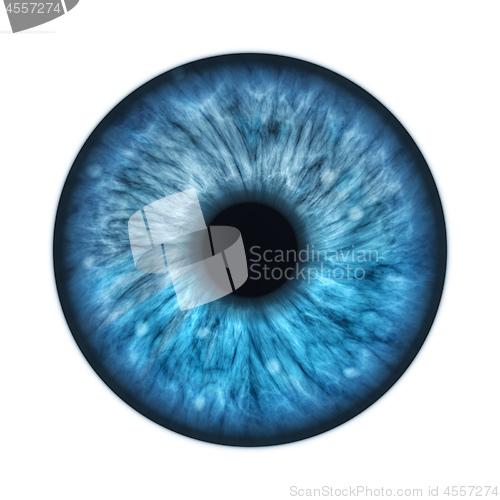 Image of blue human iris