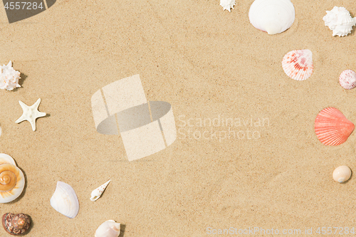 Image of seashells on beach sand