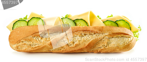 Image of Baguette sandwich isolated on white background