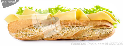 Image of Baguette sandwich isolated on white background