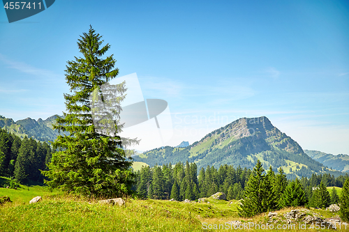 Image of Swiss Alps landscape