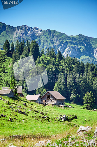 Image of Swiss Alps landscape