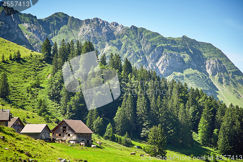 Image of Swiss Alps landscape