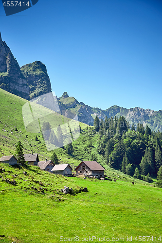 Image of Swiss Alps landscape