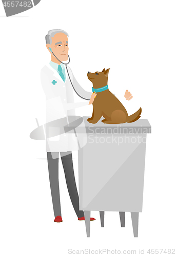 Image of Senior caucasian veterinarian examining dog.