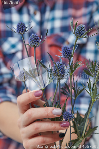 Image of woman holding blue flowers eryngium