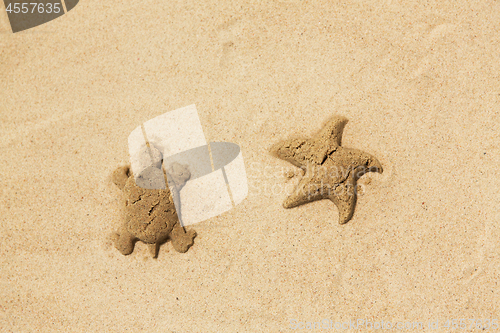 Image of sand shapes of turtle and starfish on summer beach