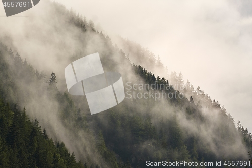 Image of Mountain forest foggy landscape