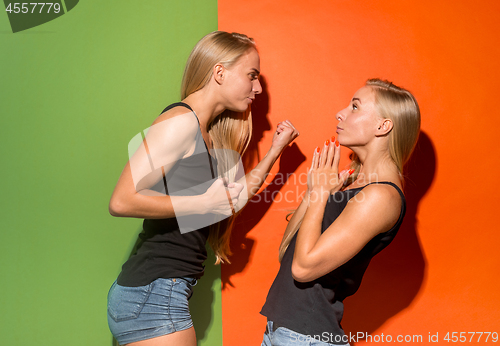 Image of Portrait of an angry women