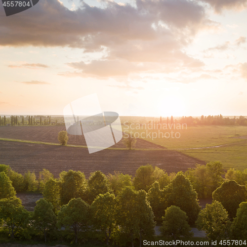 Image of Aerial view from the drone, a bird\'s eye view of abstract geometric forms of agricultural fields with a dirt road through them in the summer evening at sunset.