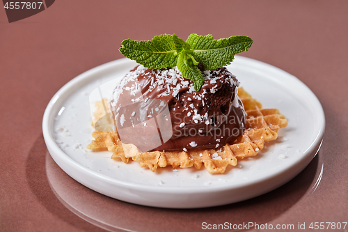 Image of A scoop of chocolate ice cream on a waffle with coconut flakes and leaves of mince in a white plate on a glossy brown table with copy space. Sweet dessert