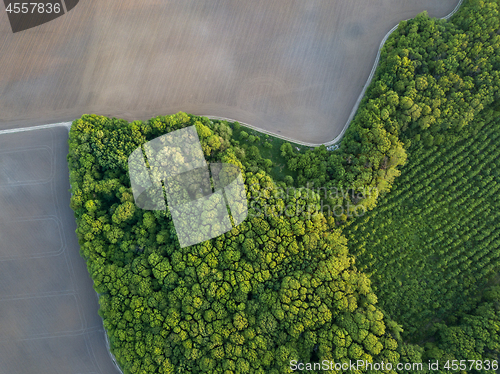 Image of Aerial photo from flying drone of a land with young trees and a plowed field