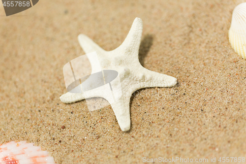 Image of starfish on beach sand