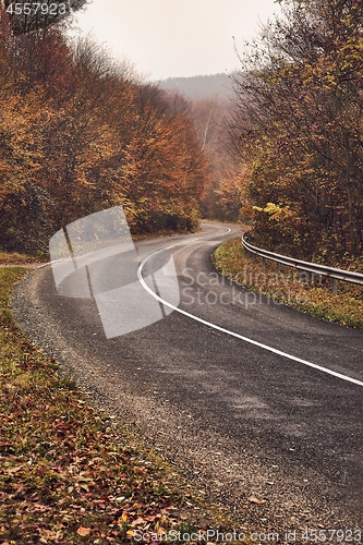 Image of Autumn road through woods