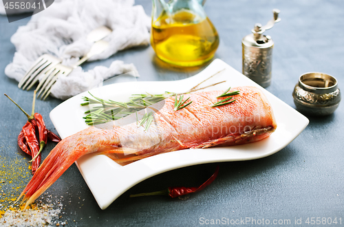 Image of raw ocean perch