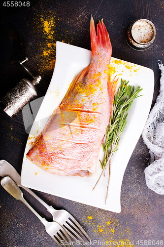 Image of raw ocean perch