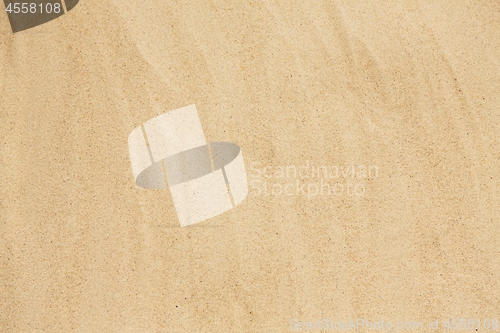 Image of sandy beach background