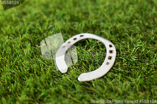 Image of horseshoe on artificial grass