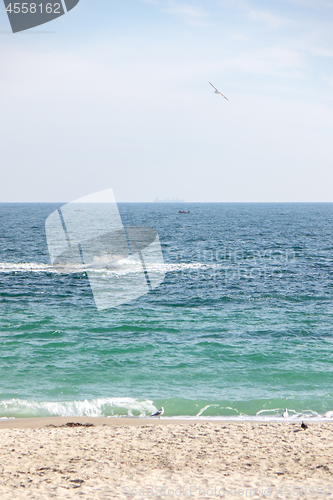 Image of Picturesque seascape with flying birds and boats, soft waves on summer day.