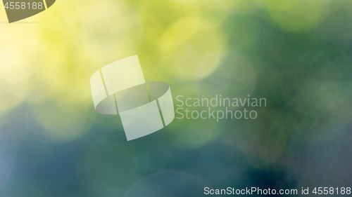 Image of Abstract green yellow blurred bokeh background. Beautiful layout