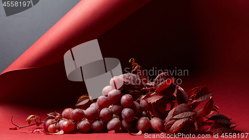 Image of ripe fresh red grapes on a red background