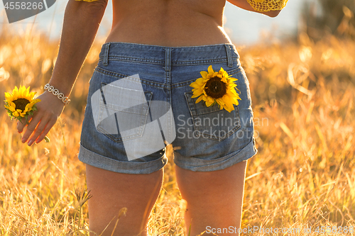 Image of Girl wearing denim shorts holding sunflower in a sunny field