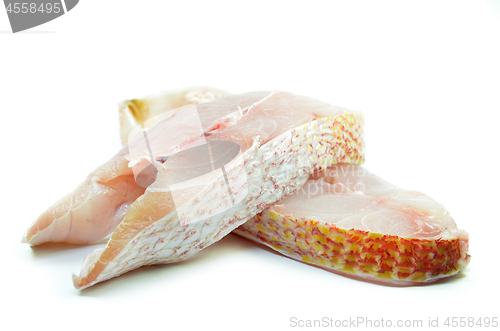 Image of Red snapper fish fillet