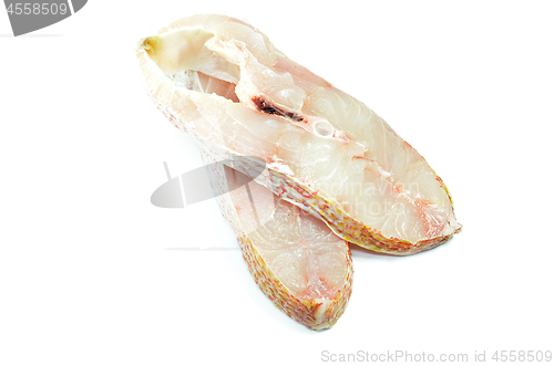 Image of Red snapper fish fillet