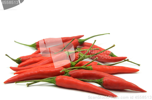 Image of Red hot chilli pepper isolated 