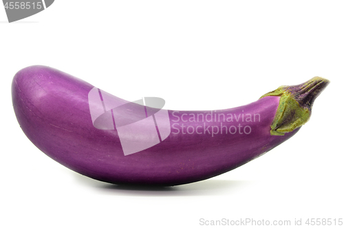 Image of Eggplant or aubergine isolated