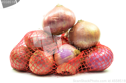 Image of Pack of red onions isolated
