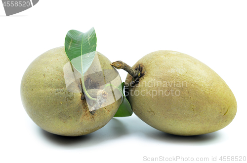Image of Fresh sapodilla tropical fruit