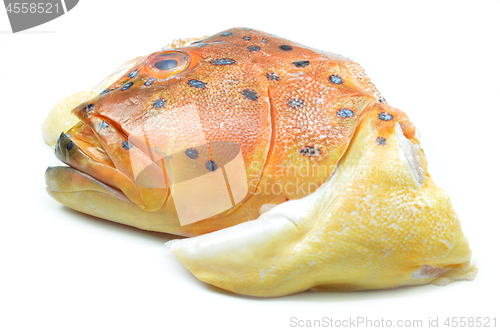 Image of Grouper fish head on white background