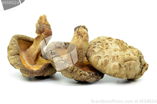 Image of Dried shiitake mushrooms isolated