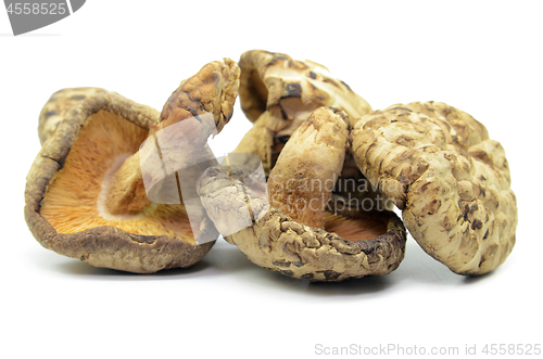 Image of Dried shiitake mushrooms isolated