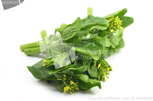 Image of Bunch of floral choy sum green vegetable