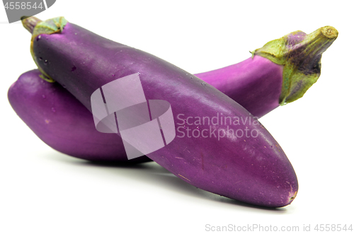 Image of Eggplant or aubergine isolated