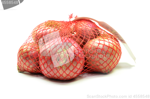 Image of Pack of red onions isolated