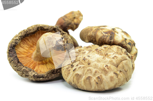 Image of Dried shiitake mushrooms isolated
