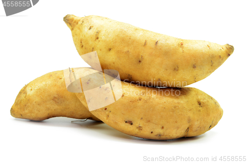 Image of Sweet potatoes isolated