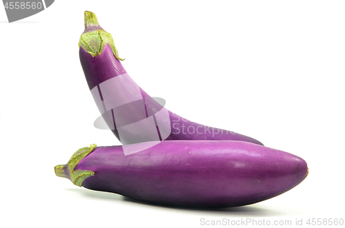 Image of Eggplant or aubergine isolated