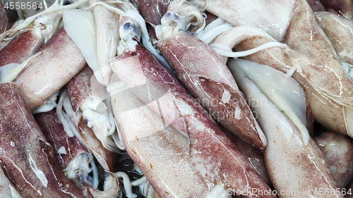 Image of Squid on ice for sale in market