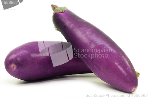 Image of Eggplant or aubergine isolated